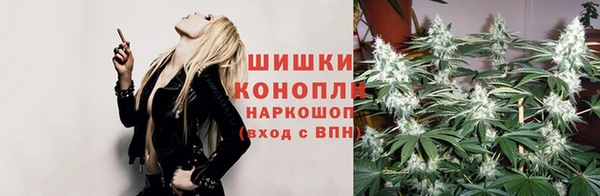 spice Карталы