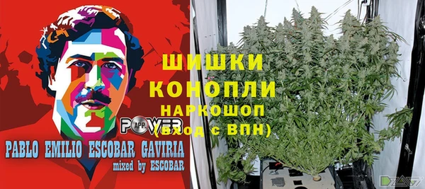 spice Карталы