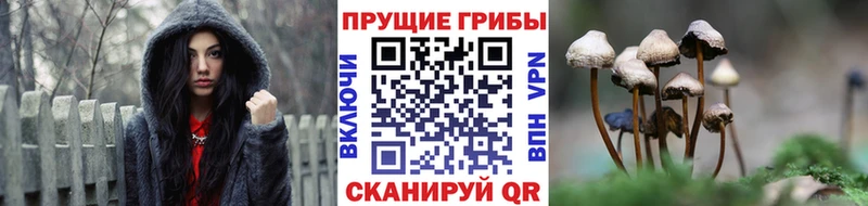 где найти наркотики Ноябрьск Псилоцибиновые грибы мухоморы